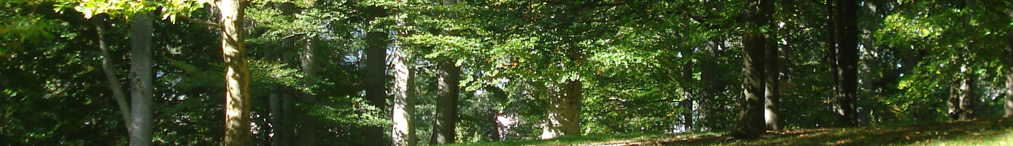 ไม้ไผ่เทียม ลำไม้ไผ่เทียม ไผ่เทียม ไผ่ปลอม สอบถามไลน์ 0835106314ส่งทั่วประเทศ